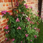 Blaue Blume Mit 11 Kw Ladestation, Kamin, Terrasse, Eingezaeuntem Garten, Sauna, Wlan, Netflix, 2 Hunde Willkommen! *