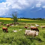 Blaue Blume Mit 11 Kw Ladestation, Kamin, Terrasse, Eingezaeuntem Garten, Sauna, Wlan, Netflix, 2 Hunde Willkommen! Hébergement de vacances *