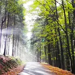 Hébergement de vacances Blaue Blume Mit 11 Kw Ladestation, Kamin, Terrasse, Eingezaeuntem Garten, Sauna, Wlan, Netflix, 2 Hunde Willkommen!