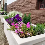 Blaue Blume Mit 11 Kw Ladestation, Kamin, Terrasse, Eingezaeuntem Garten, Sauna, Wlan, Netflix, 2 Hunde Willkommen! *