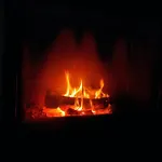 Blaue Blume Mit 11 Kw Ladestation, Kamin, Terrasse, Eingezaeuntem Garten, Sauna, Wlan, Netflix, 2 Hunde Willkommen! *