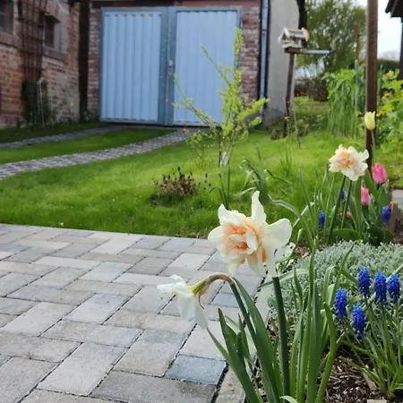 펜션 Blaue Blume Mit 11 Kw Ladestation, Kamin, Terrasse, Eingezaeuntem Garten, Sauna, Wlan, Netflix, 2 Hunde Willkommen! *