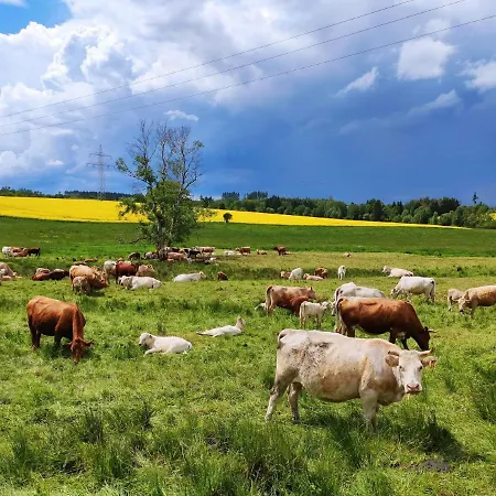 Blaue Blume Mit 11 Kw Ladestation, Kamin, Terrasse, Eingezaeuntem Garten, Sauna, Wlan, Netflix, 2 Hunde Willkommen! Feriehus *