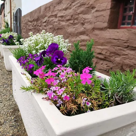 Blaue Blume Mit 11 Kw Ladestation, Kamin, Terrasse, Eingezaeuntem Garten, Sauna, Wlan, Netflix, 2 Hunde Willkommen! *