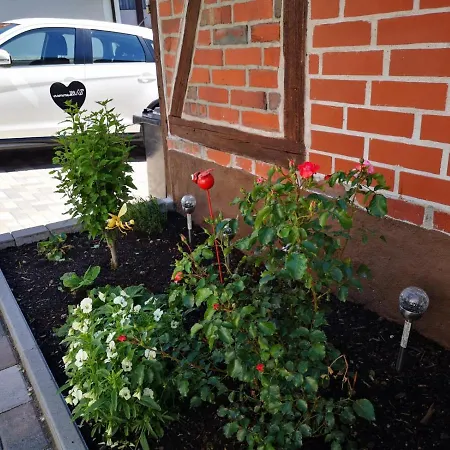 Blaue Blume Mit 11 Kw Ladestation, Kamin, Terrasse, Eingezaeuntem Garten, Sauna, Wlan, Netflix, 2 Hunde Willkommen! Σπίτι διακοπών Güntersberge