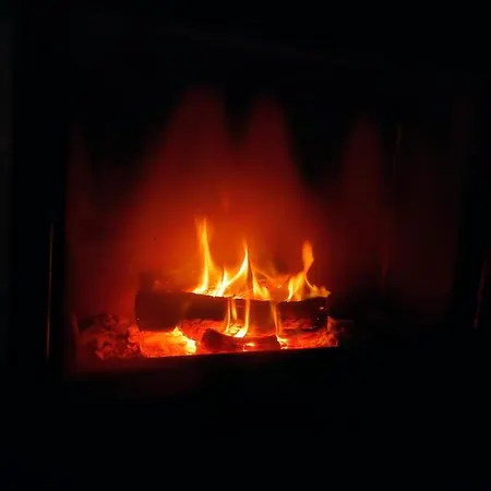 Blaue Blume Mit 11 Kw Ladestation, Kamin, Terrasse, Eingezaeuntem Garten, Sauna, Wlan, Netflix, 2 Hunde Willkommen! *