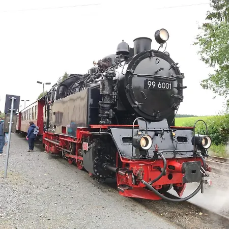 Feriehus Blaue Blume Mit 11 Kw Ladestation, Kamin, Terrasse, Eingezaeuntem Garten, Sauna, Wlan, Netflix, 2 Hunde Willkommen!