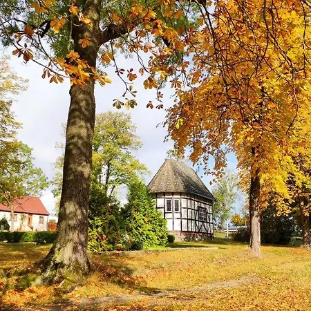 Σπίτι διακοπών Blaue Blume Mit 11 Kw Ladestation, Kamin, Terrasse, Eingezaeuntem Garten, Sauna, Wlan, Netflix, 2 Hunde Willkommen! *