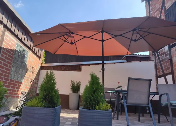 Blaue Blume Mit 11 Kw Ladestation, Kamin, Terrasse, Eingezaeuntem Garten, Sauna, Wlan, Netflix, 2 Hunde Willkommen! Güntersberge