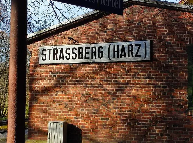 Blaue Blume Mit 11 Kw Ladestation, Kamin, Terrasse, Eingezaeuntem Garten, Sauna, Wlan, Netflix, 2 Hunde Willkommen! Σπίτι διακοπών Güntersberge