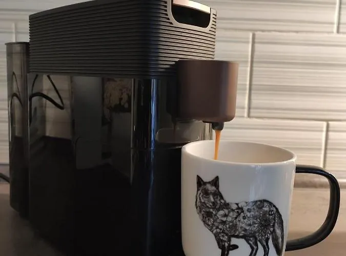 Blaue Blume Mit 11 Kw Ladestation, Kamin, Terrasse, Eingezaeuntem Garten, Sauna, Wlan, Netflix, 2 Hunde Willkommen! *