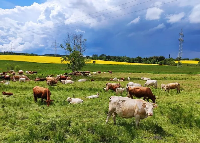 Blaue Blume Mit 11 Kw Ladestation, Kamin, Terrasse, Eingezaeuntem Garten, Sauna, Wlan, Netflix, 2 Hunde Willkommen! Semesterbostad *