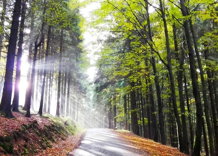 Semesterbostad Blaue Blume Mit 11 Kw Ladestation, Kamin, Terrasse, Eingezaeuntem Garten, Sauna, Wlan, Netflix, 2 Hunde Willkommen!