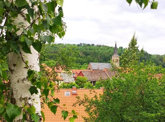 Semesterbostad Blaue Blume Mit 11 Kw Ladestation, Kamin, Terrasse, Eingezaeuntem Garten, Sauna, Wlan, Netflix, 2 Hunde Willkommen!