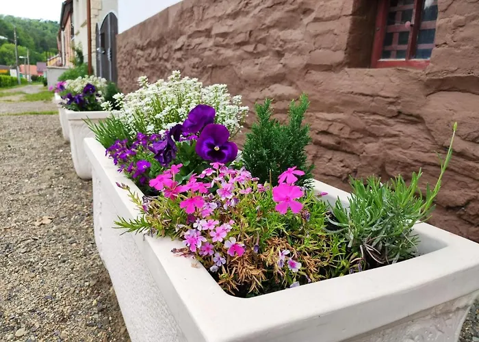 Blaue Blume Mit 11 Kw Ladestation, Kamin, Terrasse, Eingezaeuntem Garten, Sauna, Wlan, Netflix, 2 Hunde Willkommen! *