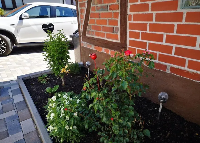 Blaue Blume Mit 11 Kw Ladestation, Kamin, Terrasse, Eingezaeuntem Garten, Sauna, Wlan, Netflix, 2 Hunde Willkommen! Semesterbostad Güntersberge