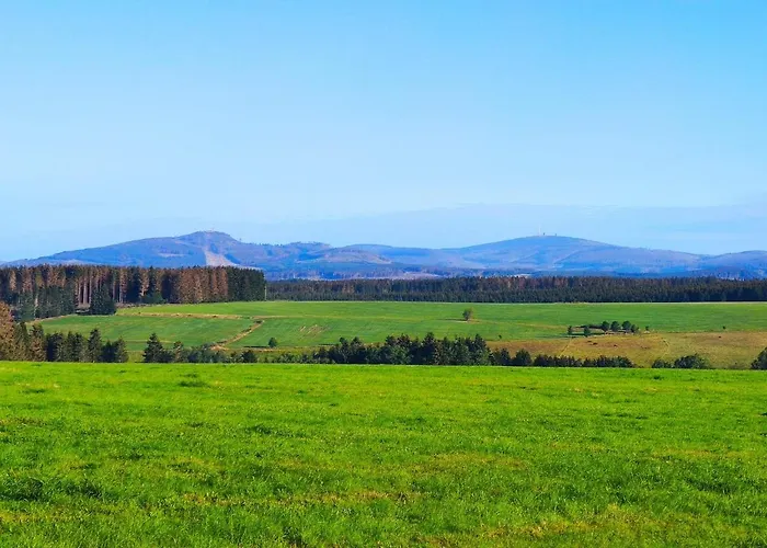 Blaue Blume Mit 11 Kw Ladestation, Kamin, Terrasse, Eingezaeuntem Garten, Sauna, Wlan, Netflix, 2 Hunde Willkommen! * Güntersberge