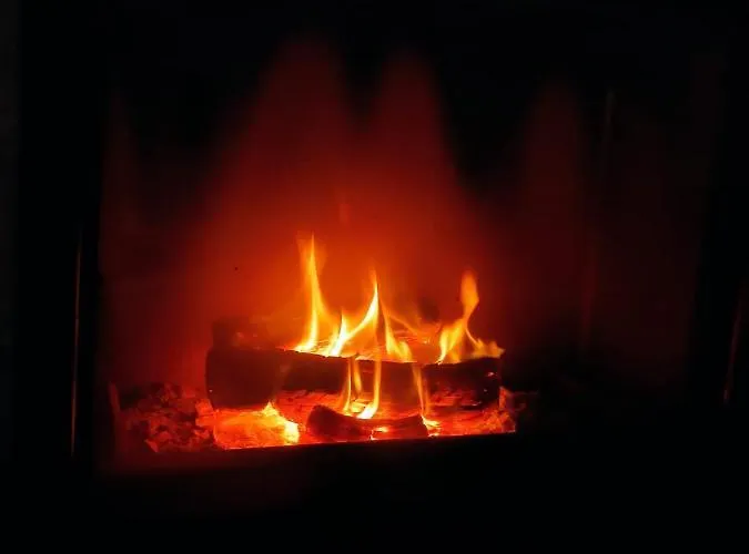 Blaue Blume Mit 11 Kw Ladestation, Kamin, Terrasse, Eingezaeuntem Garten, Sauna, Wlan, Netflix, 2 Hunde Willkommen! *