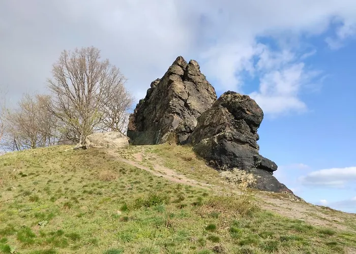 Blaue Blume Mit 11 Kw Ladestation, Kamin, Terrasse, Eingezaeuntem Garten, Sauna, Wlan, Netflix, 2 Hunde Willkommen! * Güntersberge