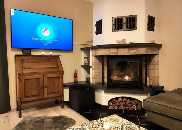 Blaue Blume Mit 11 Kw Ladestation, Kamin, Terrasse, Eingezaeuntem Garten, Sauna, Wlan, Netflix, 2 Hunde Willkommen! * Güntersberge