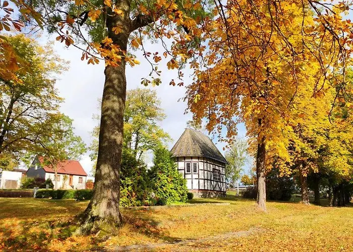 Semesterbostad Blaue Blume Mit 11 Kw Ladestation, Kamin, Terrasse, Eingezaeuntem Garten, Sauna, Wlan, Netflix, 2 Hunde Willkommen! *